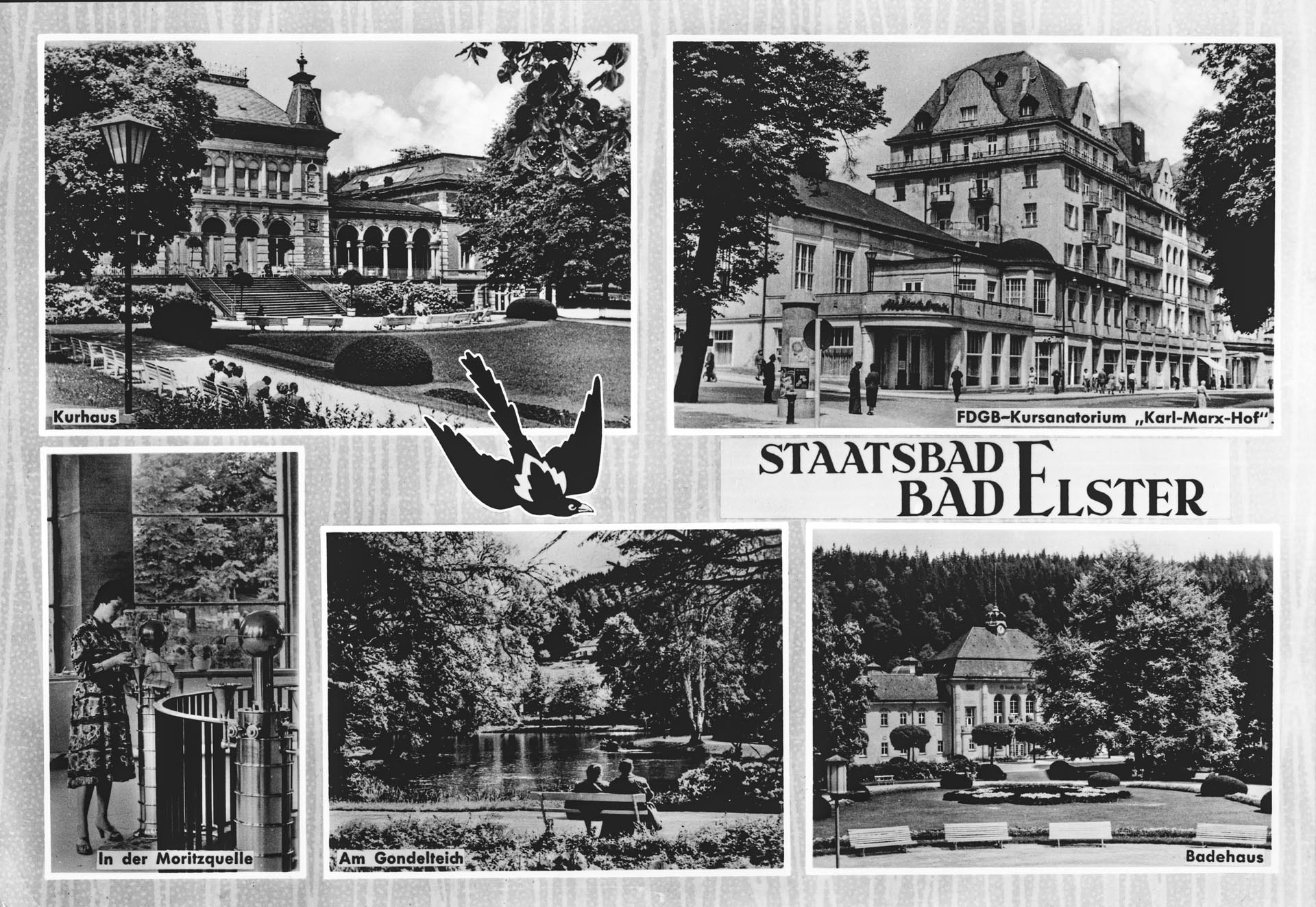 Bad Elster - Staatsbad Bad Elster - Kurhaus - Kursanatorium - Moritzquelle - Gondelteich - Badehaus Bad Elster - Staatsbad Bad Elster - Kurhaus - Kursanatorium - Moritzquelle - Gondelteich - Badehaus